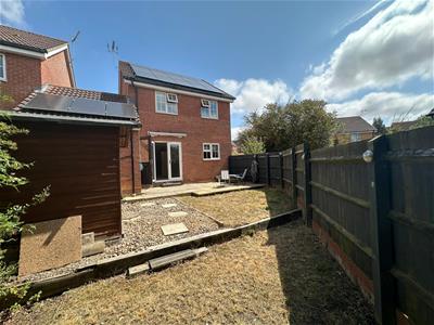 Picture 19